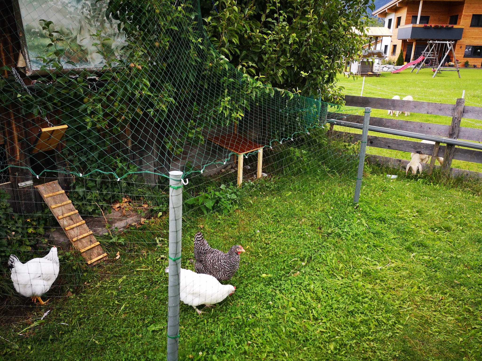 Hühnerstall im Garten Kraftymats